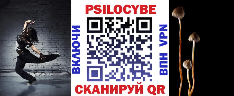 Псилоцибиновые грибы прущие грибы  Купить закладки  Бокситогорск 